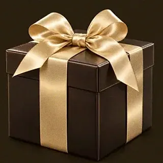 Wrapped gift box — Bsb007